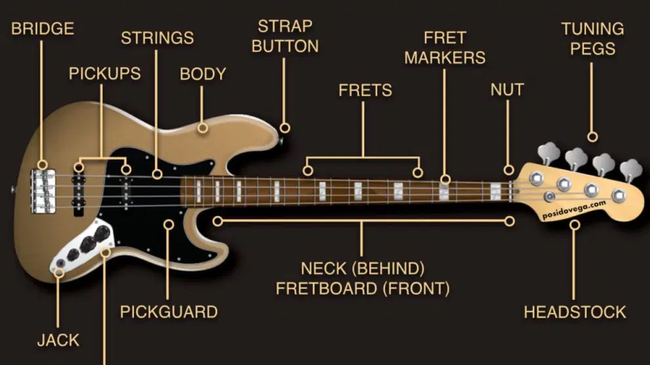 bass guitar scales